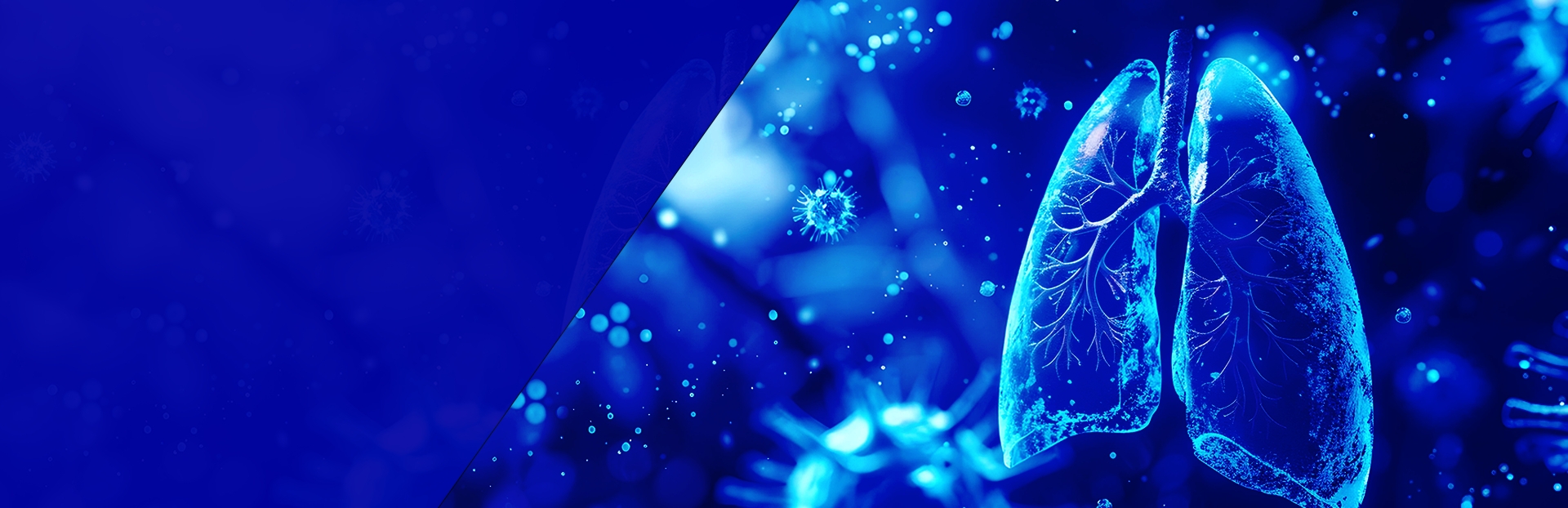 Page Banner