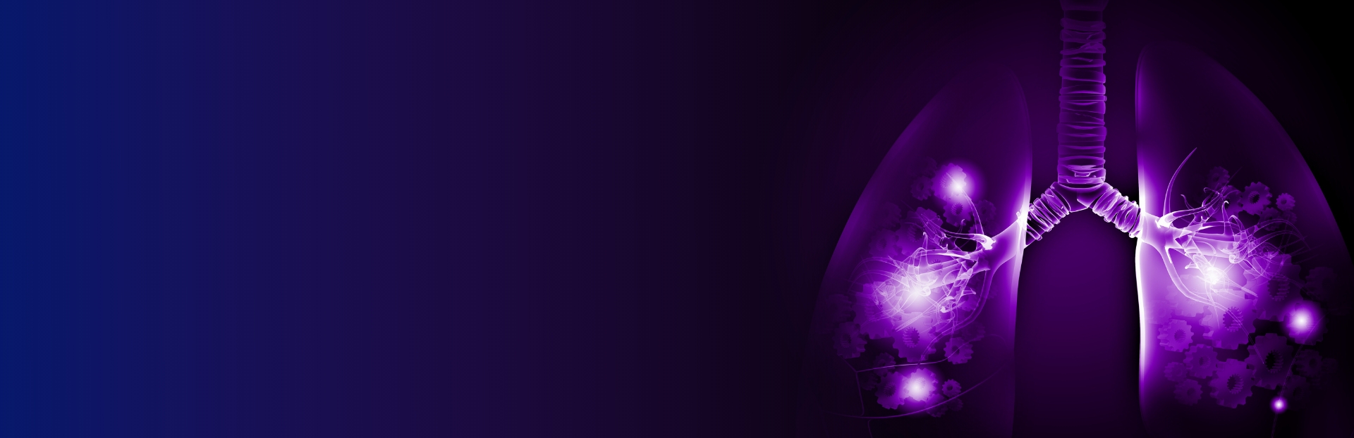 Hero Background
