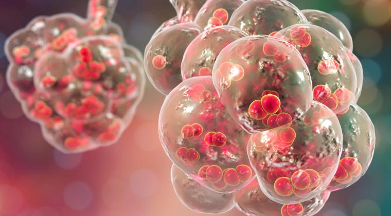 Efzofitimod's Victory: A Potential Slip or Steady Progress?