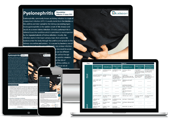 Pyelonephritis Market