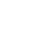 Data Gaps