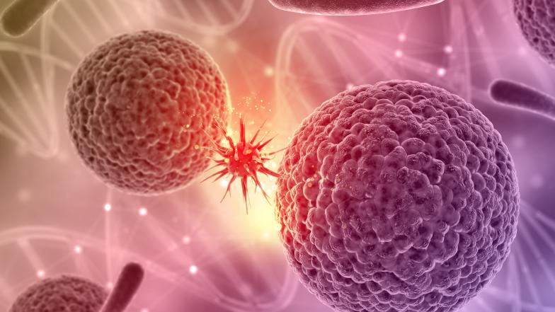 Tumor Mutation Burden