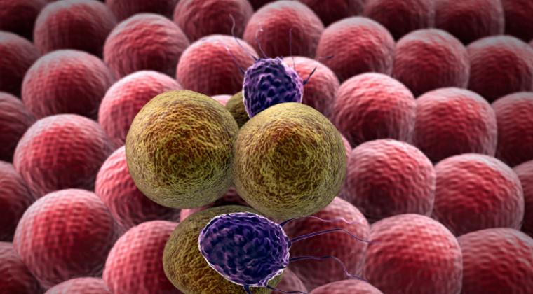 Rocky road for Next-generation SERDs and Dominance of Verzenio in Adjuvant Setting: ER+/HER2− Early Stage Breast Cancer Insights