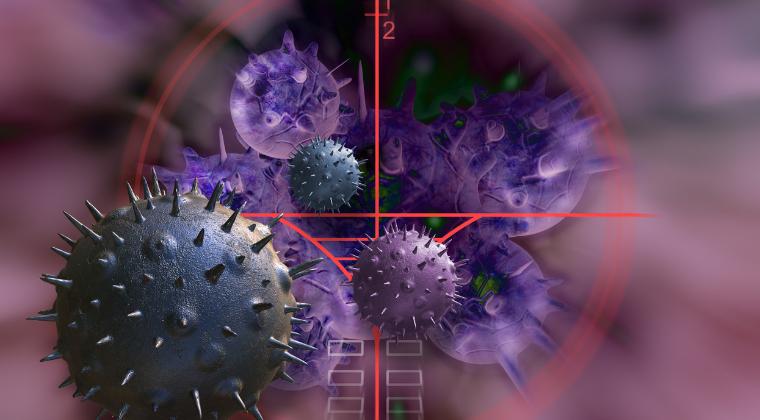 Enfortumab Vedotin Used as a Single Treatment Showed Encouraging Effectiveness with Meaningful Clinical Responses