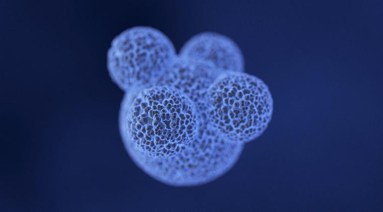 Mitazalimab with mFOLFIRINOX as a Promising Treatment Option for Individuals with Metastatic Pancreatic Ductal Adenocarcinoma (mPDAC).