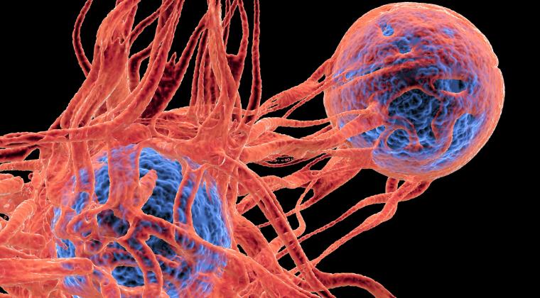 Novartis presented the promising efficacy and safety data of JDQ443 in KRAS G12C-mutated solid tumors including NSCLC (KontRASt-01)