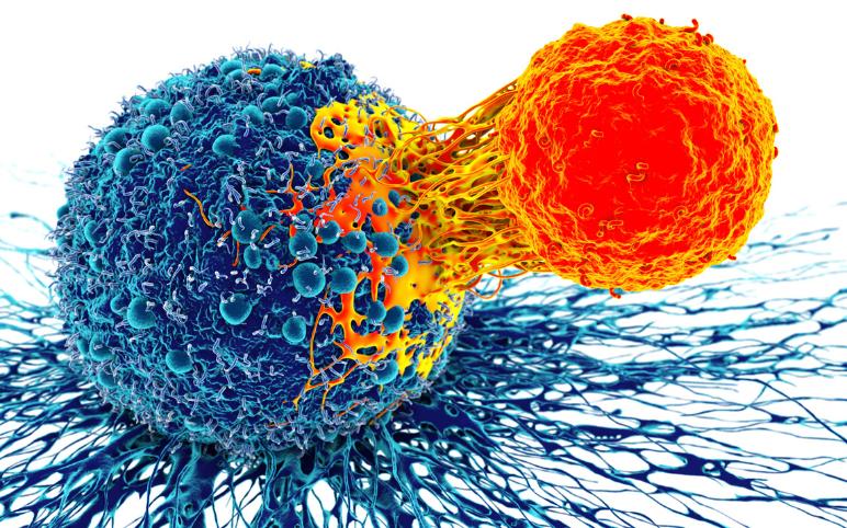  Tarlatamab for patients with previously treated small cell lung cancer (SCLC): Primary analysis of the phase 2 DeLLphi -301 study