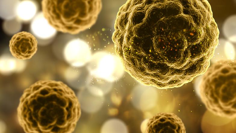 Pfizer’s TALA (talazoparib) in metastatic castration-resistant prostate cancer (mCRPC)