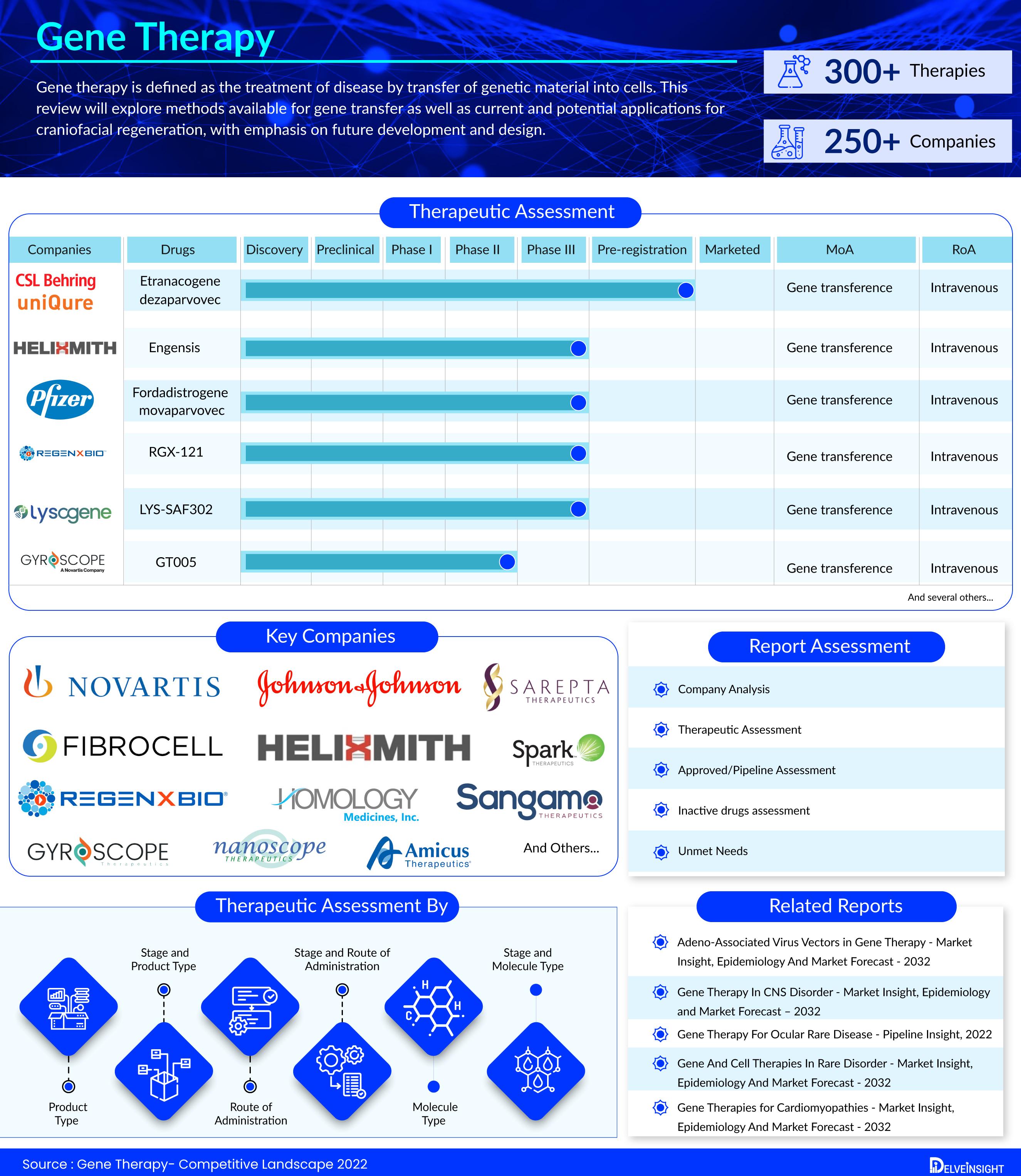 Gene Therapy Infographic