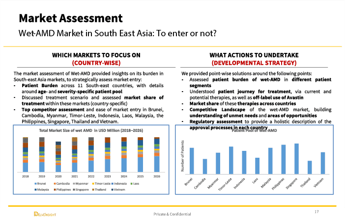 Delveinsight Case Study Visual