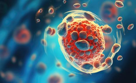 Lacutamab TELLOMAK Phase II Results