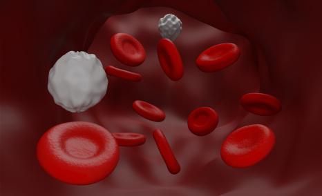 MB-106 phase I/II clinical trial