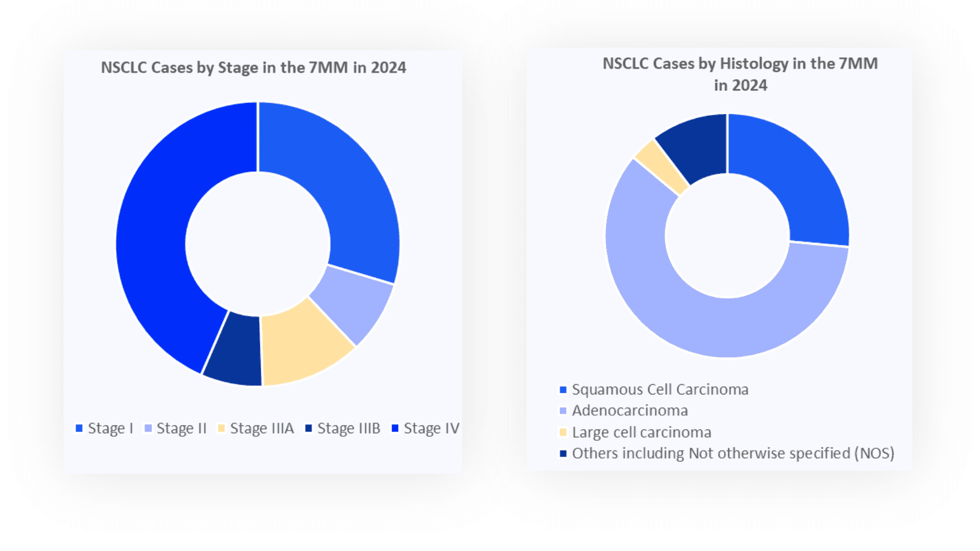 Delveinsight Case Study Visual