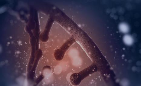 Ozuriftamab vedotin Phase II Data | ASCO 2025