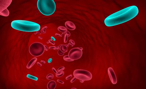 VBP101 trial | EHA 2025