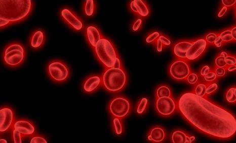 CAPTIVATE Study Findings | EHA 2025