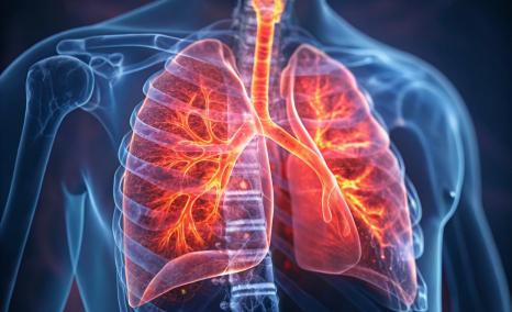 IPF Abstracts at ERS 2025