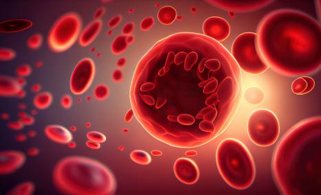 Phase III EPCORE FL-1 trial