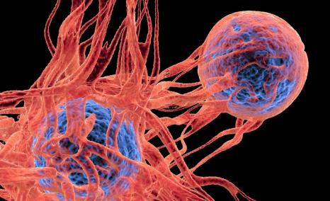 ADCs in Lung Cancer | ESMO 2026