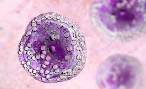Cancer Vaccines at ESMO 2026