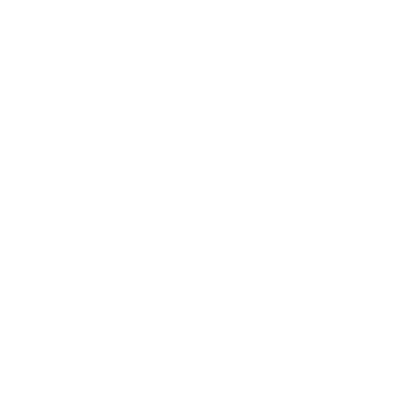 100% Post Sale Support