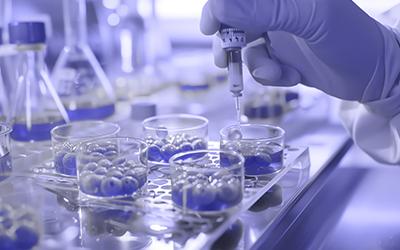 Pipeline Assessment  ASCO 2024