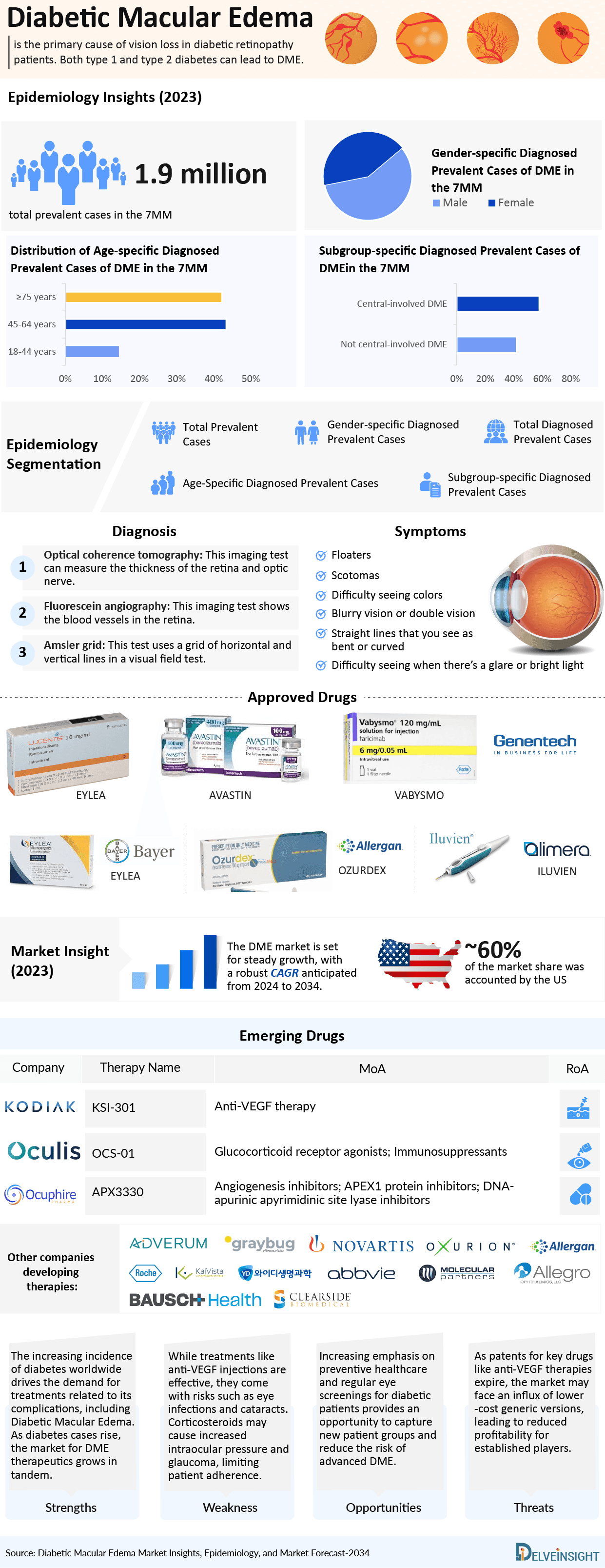 Diabetic Macular Edema Infographic