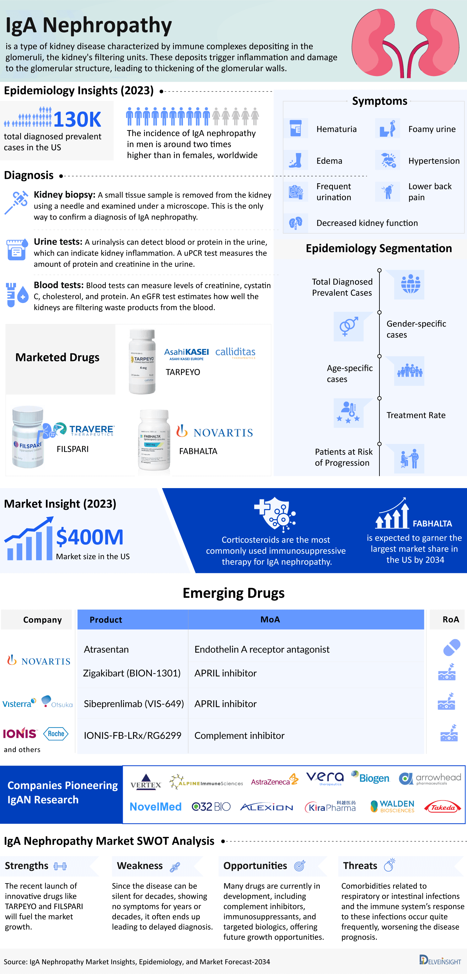 IgA Nephropathy Market Infographic
