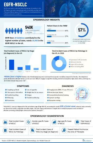 Infographic Image