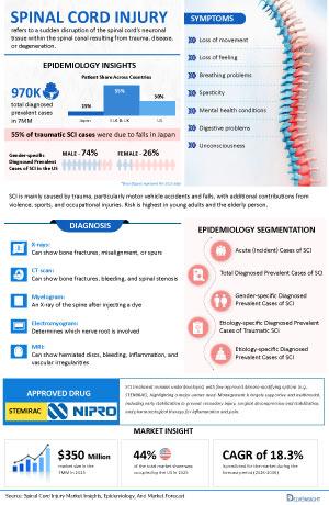 Infographic Image