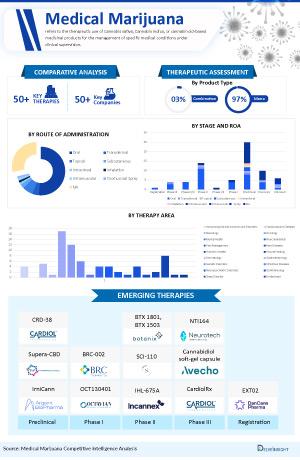 Infographic Image