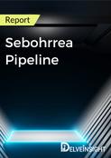 Sebohrrea Pipeline Report