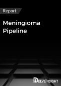 Meningioma Pipeline Report