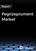 Pegrizeprument Market