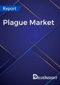report image delveinsight