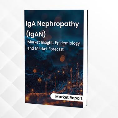IgA Nephropathy (IgAN) - Market Insight, Epidemiology And Market Forecast - 2034
