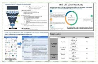 Delveinsight Case Study Visual Delveinsight Case Study Visual