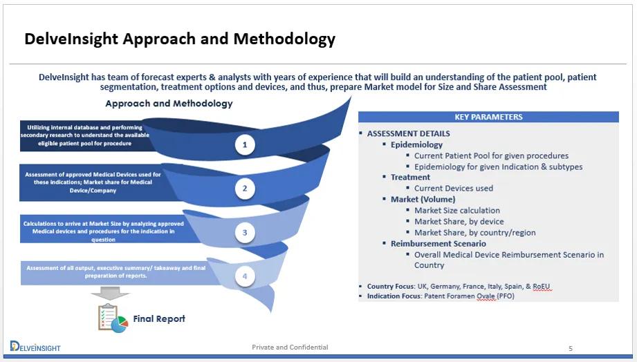 Delveinsight Case Study Visual Delveinsight Case Study Visual