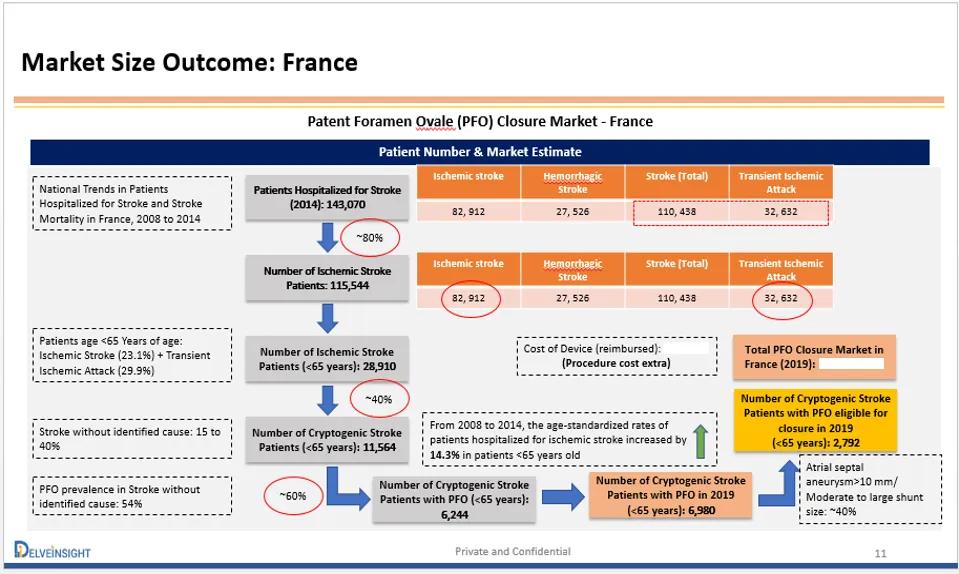 Delveinsight Case Study Visual Delveinsight Case Study Visual