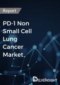 PD 1 Non Small Cell Lung Cancer Market Report
