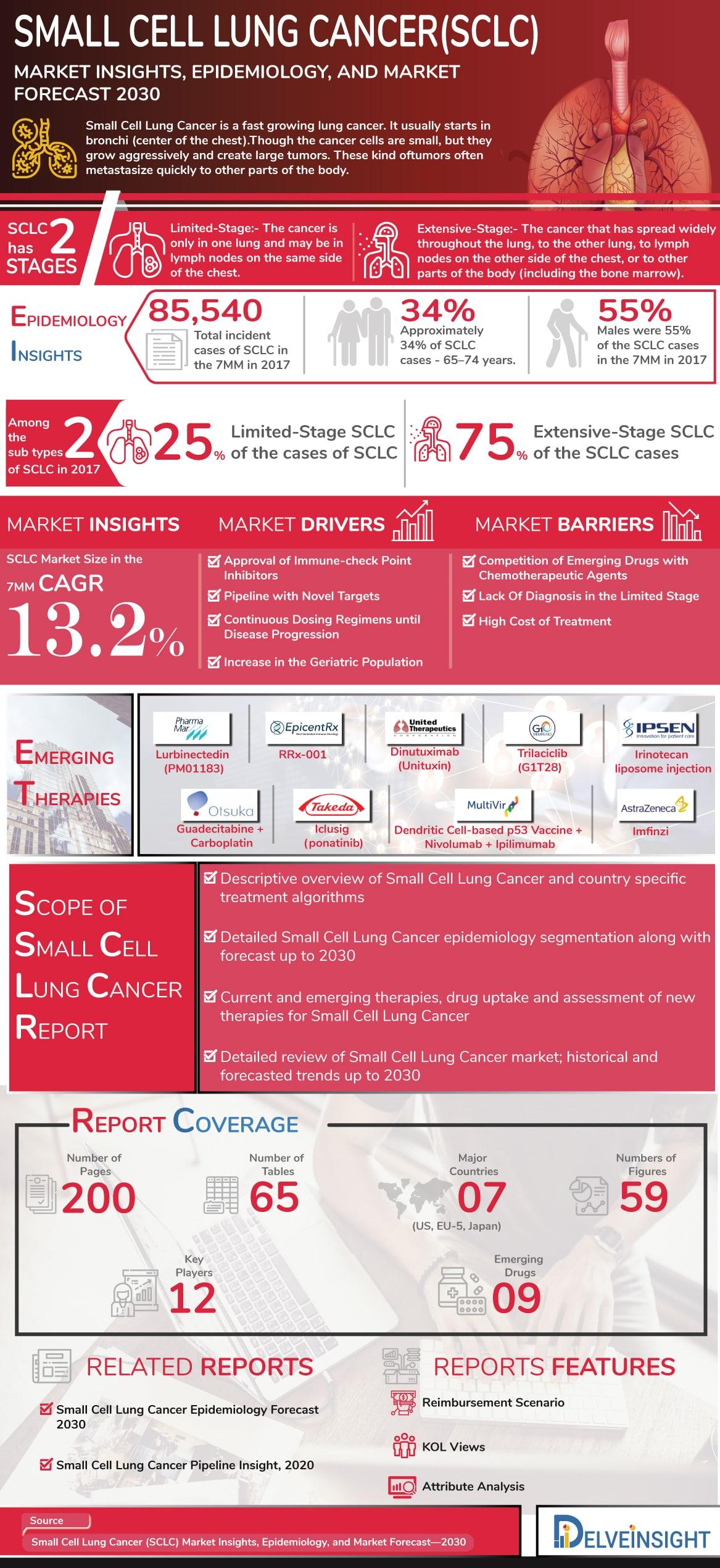 Small Cell Lung Cancer