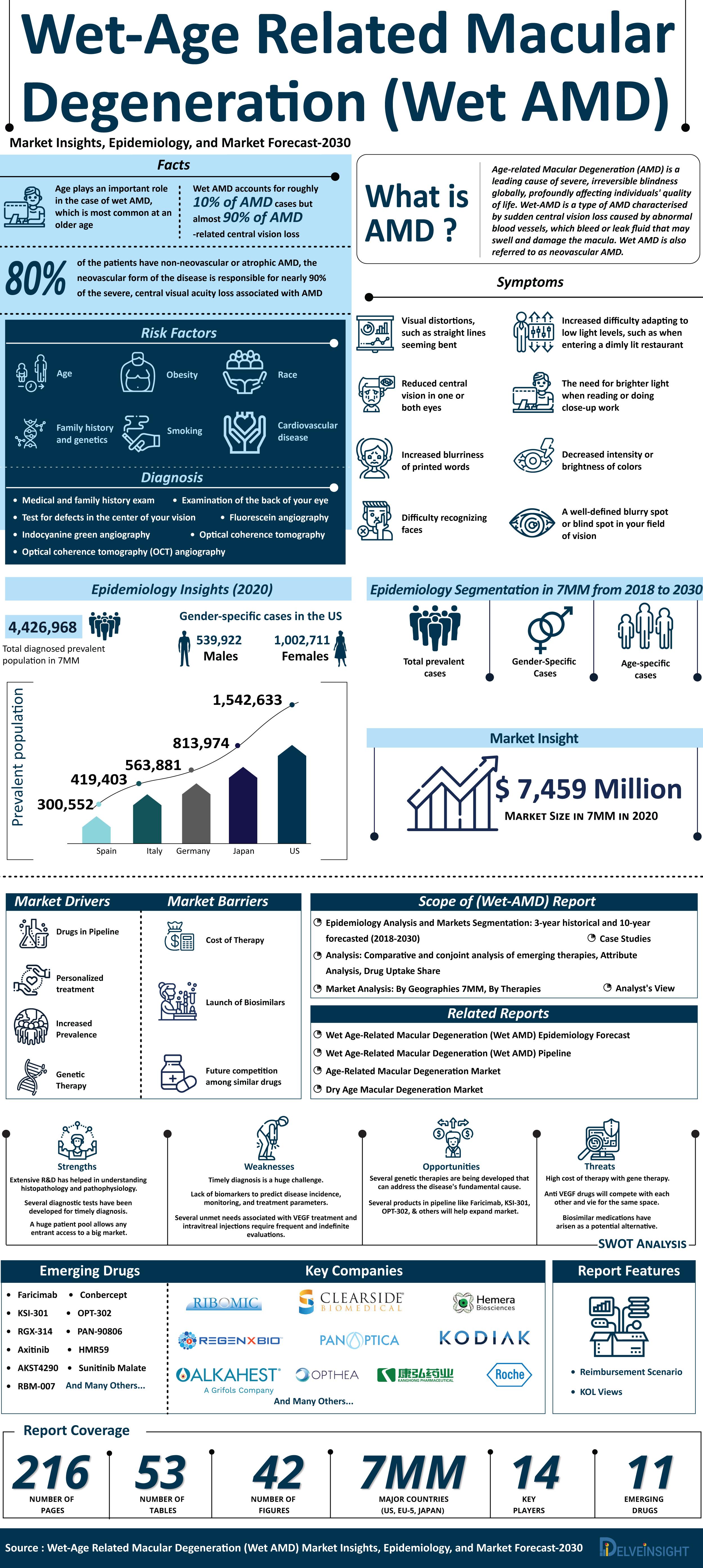 Wet-Age Related Macular Degeneration