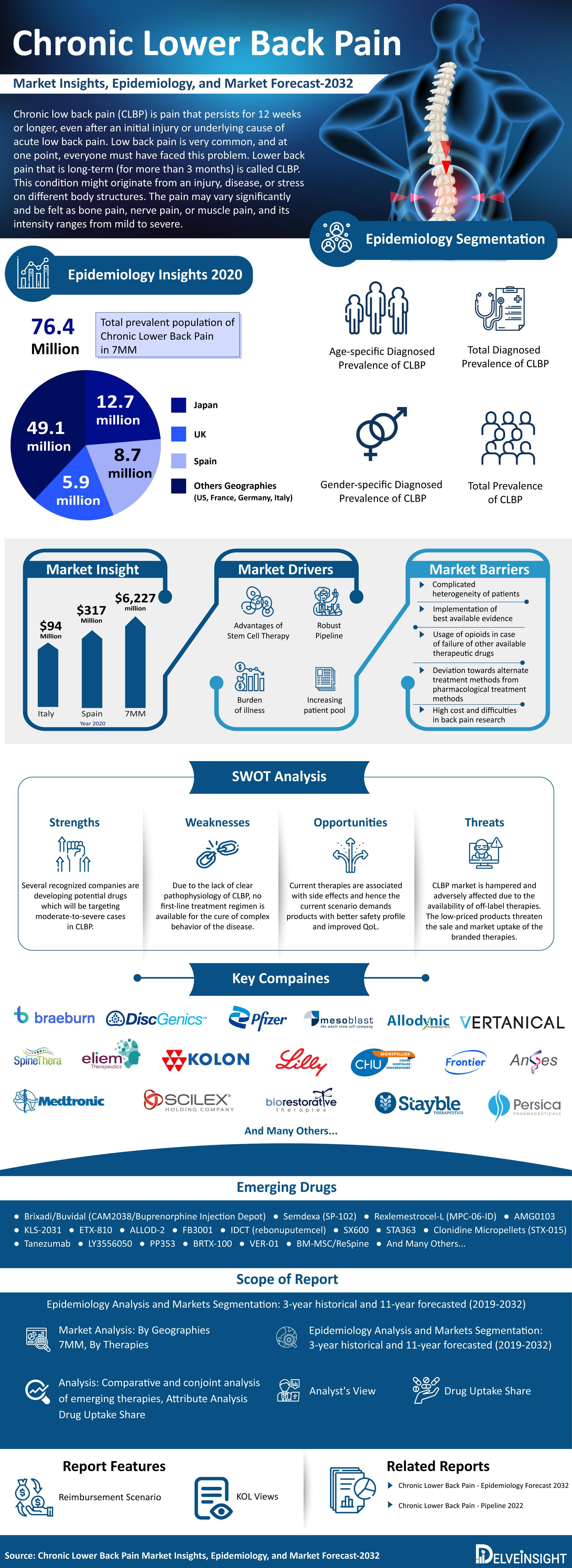 Chronic Lower Back Pain Therapies