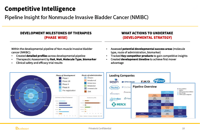 Delveinsight Case Study Visual Delveinsight Case Study Visual