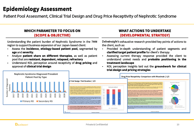 Delveinsight Case Study Visual Delveinsight Case Study Visual