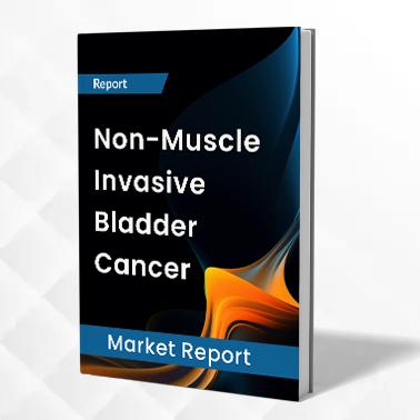 Non-Muscle Invasive Bladder Cancer (NMIBC)