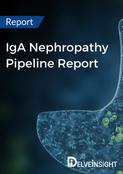 IgA Nephropathy Pipeline Insight Report