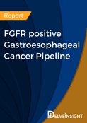 FGFR positive Gastroesophageal Cancer Pipeline Report