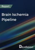 Brain Ischemia Pipeline Report