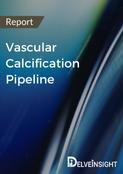 Vascular Calcification Pipeline Report